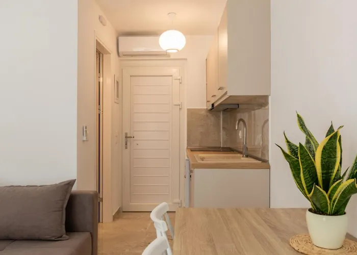 Appartement Oasis Luxury And