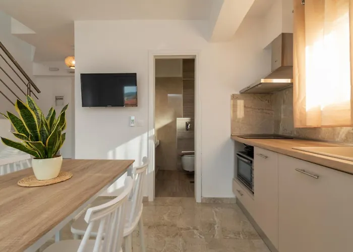 Oasis Luxury And