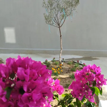 Oasis Luxury And Apartment Nikiti (Sithonia)