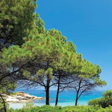 Oasis Luxury And Apartment Nikiti (Sithonia)